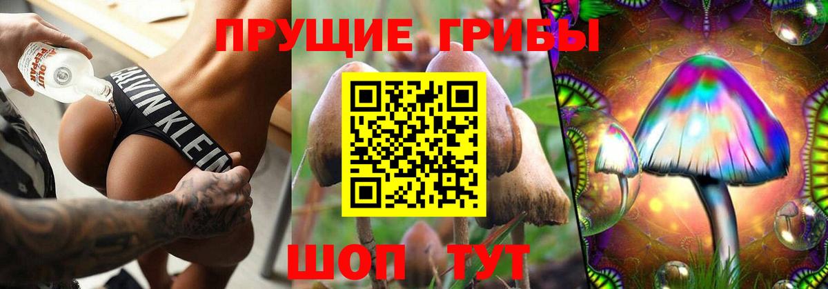 Псилоцибиновые грибы мицелий  Вход с VPN  Кызыл 